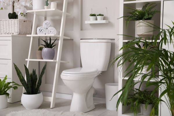 Cost of Toilet Repair in West Palm Beach